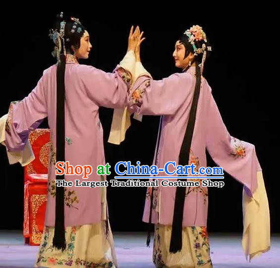 Chinese Kun Opera Apparels Costumes The Fragrant Companion Peking Opera Hua Tan Garment Dress and Hair Ornaments