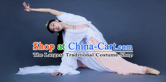 Chinese Traditional Dance Unsillied White Dress Classical Dance Stage Performance Costume for Women