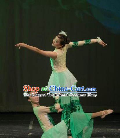 Chinese Traditional Folk Dance Liu Yue Mo Li Green Dress Classical Dance Stage Performance Costume for Women