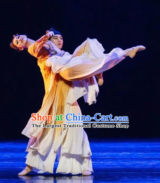Chinese Zhi Qiu Classical Dance Dress Traditional Dance Stage Performance Costume for Women