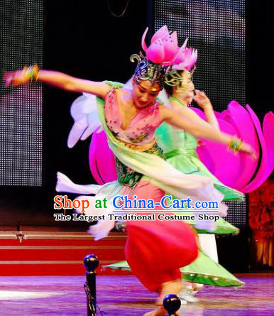 Chinese Lotus Dance Dress Traditional Classical Dance Stage Performance Costume for Women