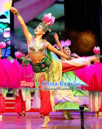 Chinese Lotus Dance Dress Traditional Classical Dance Stage Performance Costume for Women