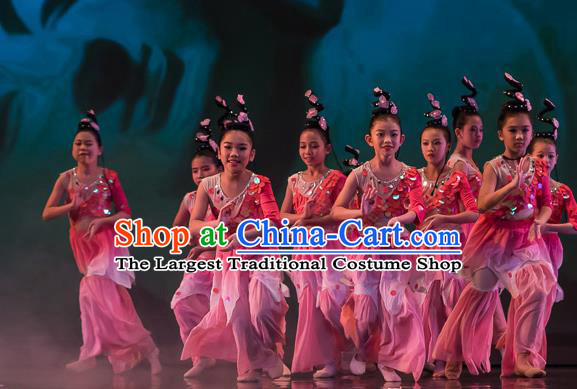 Chinese Ji Yue Tian Dance Pink Dress Traditional Classical Dance Stage Performance Costume for Women
