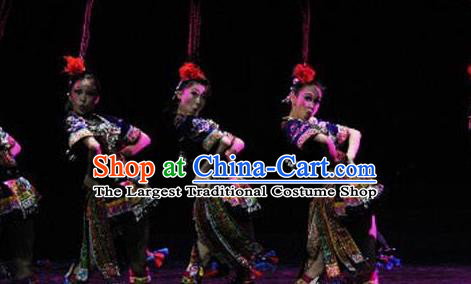 Beautiful Golden Pheasant Chinese Miao Nationality Dance Dress Traditional Folk Dance Costume for Women