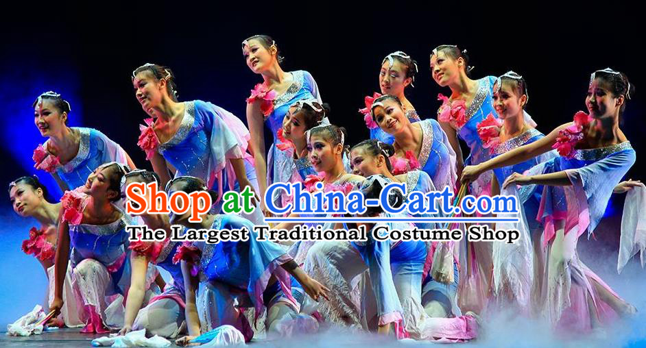 Misty Memories Chinese Classical Dance Stage Show Dress Traditional Folk Dance Costume for Women