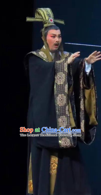 Hedda or Aspiration Sky High Chinese Yue Opera Laosheng Official Costumes and Headwear Shaoxing Opera Elderly Male Scholar Garment Apparels