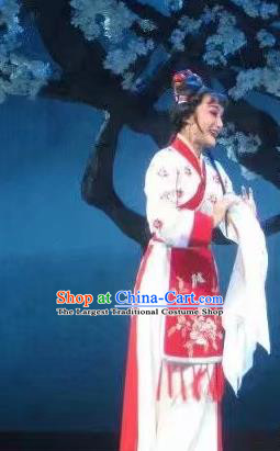 Chinese Shaoxing Opera Actress Dress Costumes and Headpieces Li Hua Qing Yue Opera Hua Tan Young Female Garment Apparels