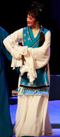 Chinese Shaoxing Opera Civilian Female Costumes and Headpieces Li Hua Qing Yue Opera Hua Tan Apparels Dress Garment