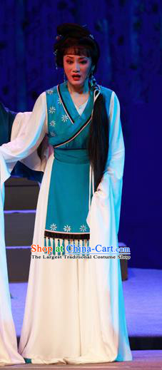 Chinese Shaoxing Opera Civilian Female Costumes and Headpieces Li Hua Qing Yue Opera Hua Tan Apparels Dress Garment