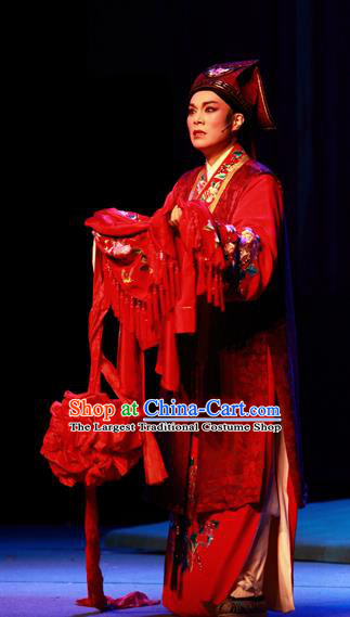 Chinese Yue Opera Wedding Young Man Qian Youliang Costumes and Headwear Shaoxing Opera Merchant Red Garment Apparels