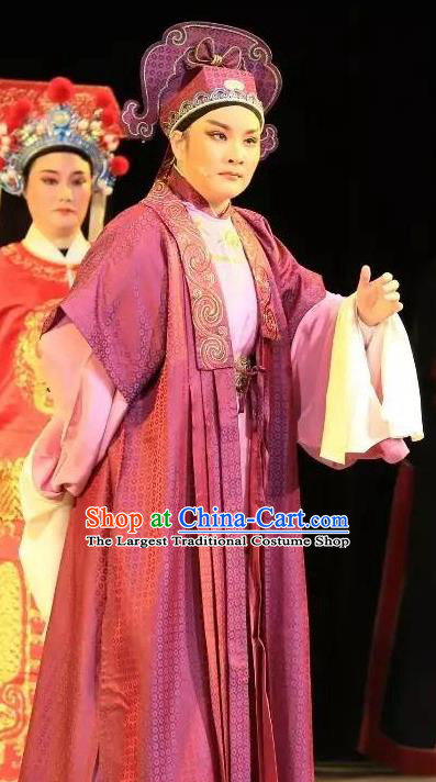 He Wenxiu Chinese Yue Opera Bully Young Male Zhang Tang Garment and Headwear Shaoxing Opera Scholar Costumes Apparels
