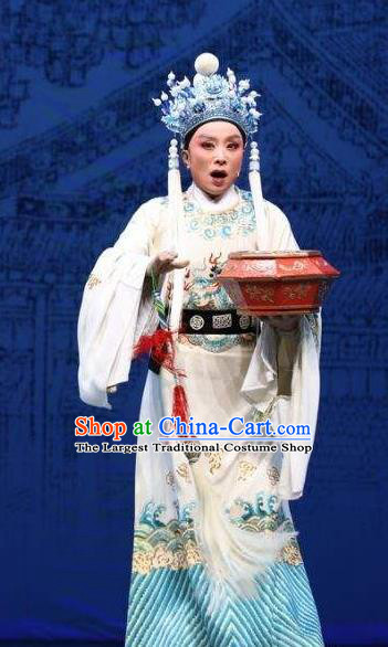 Palm Civet for Prince Chinese Yue Opera Court Eunuch Chen Lin Costumes and Headwear Shaoxing Opera Man Role Garment Apparels Official Robe
