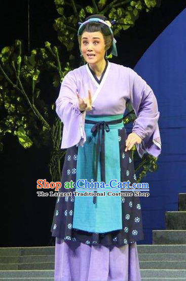 Chinese Shaoxing Opera Laodan Purple Dress Costumes and Headdress A Song of The Travelling Son Yue Opera Actress Elderly Female Garment Apparels
