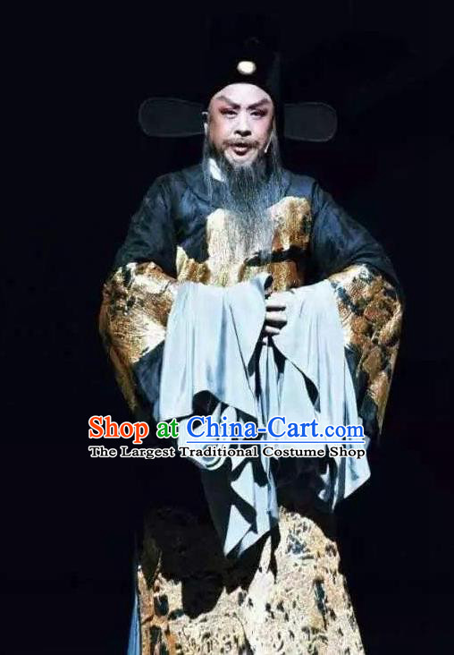 Chinese Yue Opera Official Hu Zongxian Garment and Hat Shaoxing Opera Laosheng Qing Teng Kuang Ge Minister Apparels Costumes