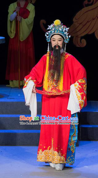 Palm Civet for Prince Chinese Yue Opera Elderly Male Apparels Costumes Red Embroidered Robe and Headwear Shaoxing Opera Laosheng Garment