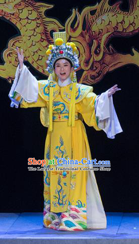 Chinese Yue Opera Xiaosheng Young Male Costumes and Headwear Shaoxing Opera Palm Civet for Prince Garment Apparels Emperor Embroidered Robe