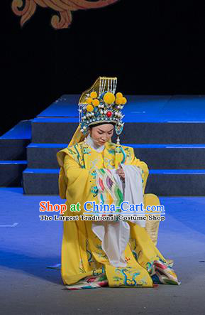 Chinese Yue Opera Xiaosheng Young Male Costumes and Headwear Shaoxing Opera Palm Civet for Prince Garment Apparels Emperor Embroidered Robe