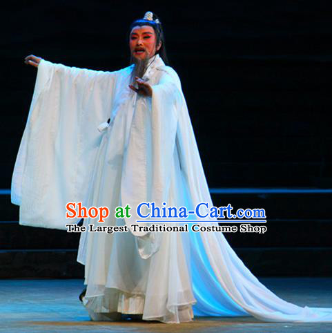 Chinese Yue Opera Poet White Apparels Costumes and Headwear Qu Yuan Shaoxing Opera Laosheng Elderly Male Robe Garment