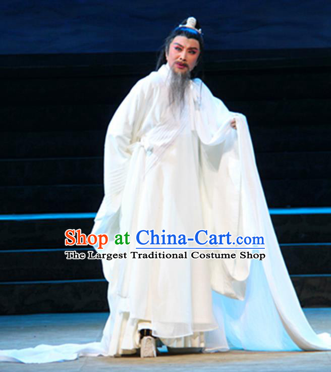 Chinese Yue Opera Poet White Apparels Costumes and Headwear Qu Yuan Shaoxing Opera Laosheng Elderly Male Robe Garment