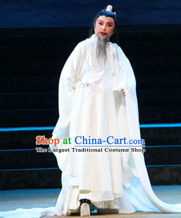 Chinese Yue Opera Poet White Apparels Costumes and Headwear Qu Yuan Shaoxing Opera Laosheng Elderly Male Robe Garment