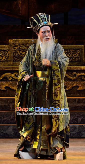 Chinese Yue Opera Elderly Male Apparels Costumes and Headwear Qu Yuan Shaoxing Opera Laosheng Official Zhang Yi Garment