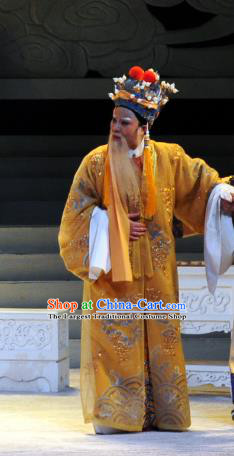 Chinese Yue Opera Elderly Male Garment Palm Civet for Prince Costumes and Headwear Shaoxing Opera Apparels Emperor Embroidered Robe