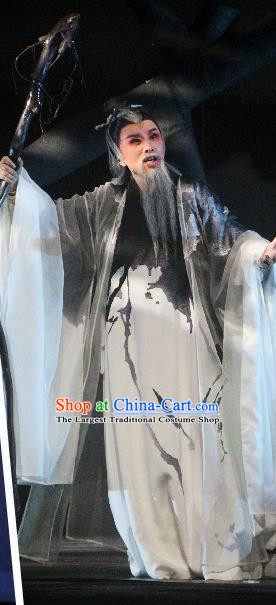 Chinese Yue Opera Elderly Male Garment and Headwear Shaoxing Opera Laosheng Qing Teng Kuang Ge Xu Wei Apparels Costumes