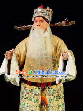 Chinese Historical Beijing Opera Elderly Male Apparels Zhu Lian Zhai Peking Opera Garment Costumes Official Golden Python Embroidered Robe and Hat
