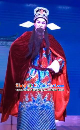 Chinese Yue Opera Official Garment and Headwear The Crimson Palm Shaoxing Opera Elderly Male Apparels Costumes Embroidered Robe