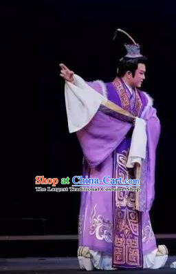 Chinese Yue Opera Young Male Purple Garment Costumes and Headwear Tong Que Tai Shaoxing Opera Xiaosheng Prince Apparels