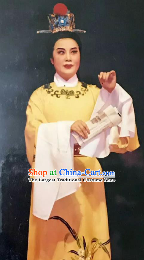 Chinese Yue Opera Xiaosheng Mo Chou Nv Costumes and Headwear Shaoxing Opera Young Male Garment Scholar Lu Yong Apparels