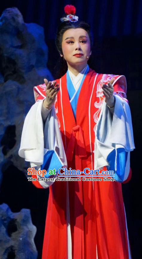 Chinese Yue Opera Young Male Garment Scholar Lu Yong Costumes and Headwear Shaoxing Opera Mo Chou Nv Xiaosheng Apparels