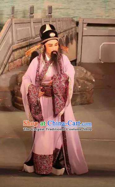 Chinese Yue Opera Ministry Councillor Baihua River Apparels Ling Bing Costumes and Headwear Shaoxing Opera Laosheng Elderly Male Garment