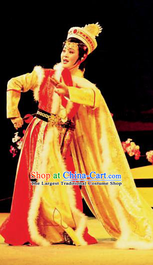 Chinese Shaoxing Opera Rani Princess Cai Wenji Costumes and Headdress Yue Opera Hua Tan Dress Apparels Garment