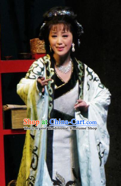 Chinese Kun Opera Actress White Hanfu Dress The Story of Pipa Peking Opera Garment Distress Maiden Zhang Wuniang Apparels Costumes and Headpieces