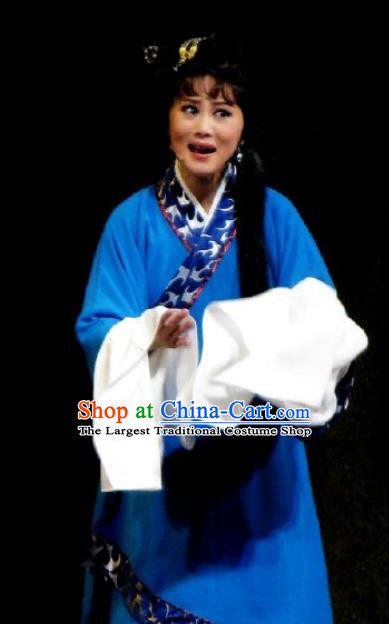 Chinese Kun Opera Countrywoman Hanfu Dress The Story of Pipa Peking Opera Garment Zhang Wuniang Apparels Tsing Yi Costumes and Headpieces