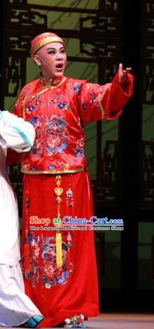 Chinese Yue Opera Wedding Garment Costumes and Headwear Wisp of Hemp Shaoxing Opera Stupid Scholar Bridegroom Apparels