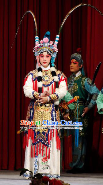 Chinese Kun Opera Martial Wu Dan Armor Suits Princess Baihua Peking Opera Blues Garment Apparels Costumes and Headdress