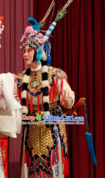 Chinese Kun Opera Martial Wu Dan Armor Suits Princess Baihua Peking Opera Blues Garment Apparels Costumes and Headdress