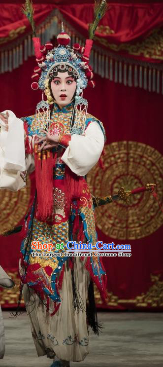 Chinese Kun Opera Martial Wu Dan Armor Suits Princess Baihua Peking Opera Blues Garment Apparels Costumes and Headdress