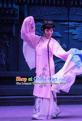 Coriolanus and Du Liniang Chinese Shaoxing Opera Young Female Apparels and Headdress Yue Opera Hua Tan Actress Garment Dress Costumes