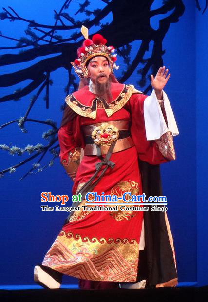 Chinese Shaoxing Opera Martial Men Costumes Yue Opera Shuang Fei Yi Garment Elderly Male King Apparels and Headwear