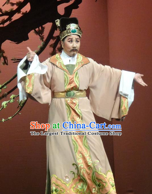 Chinese Shaoxing Opera Lao Sheng Costumes Yue Opera Shuang Fei Yi Garment Elderly Male Apparels and Hat