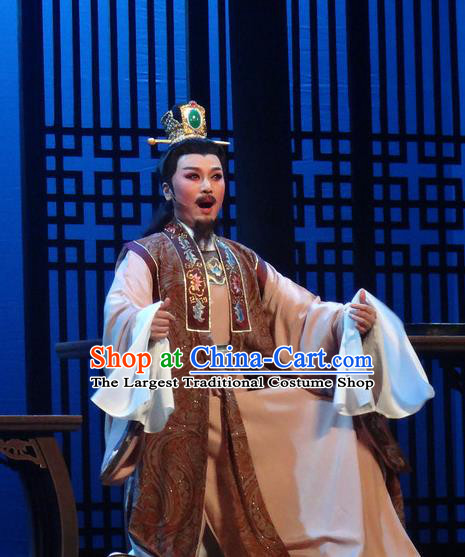 Chinese Shaoxing Opera Scholar Garment Yue Opera Shuang Fei Yi Male Apparels Costumes and Hair Accessories