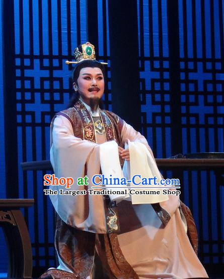 Chinese Shaoxing Opera Scholar Garment Yue Opera Shuang Fei Yi Male Apparels Costumes and Hair Accessories