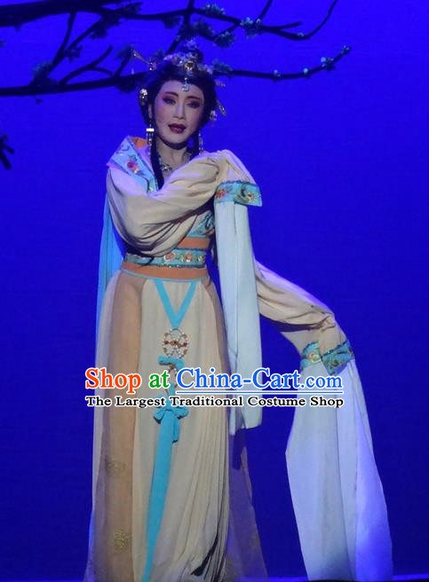 Chinese Shaoxing Opera Patrician Lady Dress Shuang Fei Yi Apparels Yue Opera Hua Tan Garment Wang Yanmei Costumes and Hair Accessories