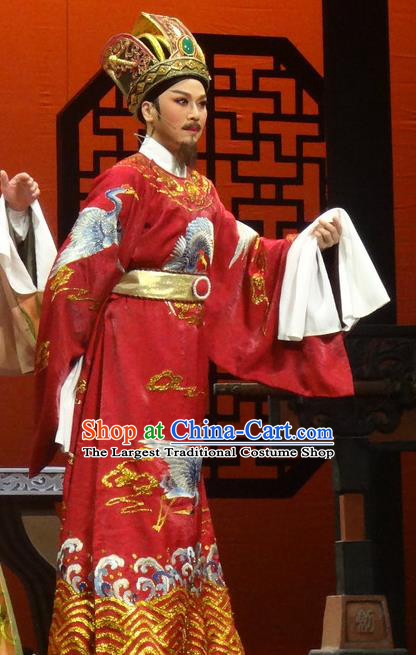 Chinese Shaoxing Opera Chancellor Red Official Garment Yue Opera Shuang Fei Yi Apparels Prime Minister Costumes and Hat