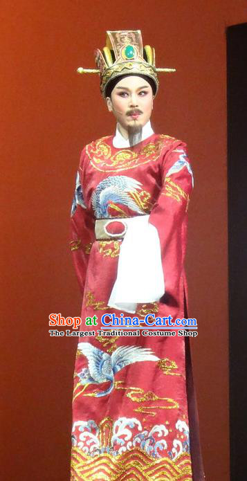 Chinese Shaoxing Opera Chancellor Red Official Garment Yue Opera Shuang Fei Yi Apparels Prime Minister Costumes and Hat