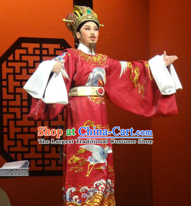 Chinese Shaoxing Opera Chancellor Red Official Garment Yue Opera Shuang Fei Yi Apparels Prime Minister Costumes and Hat