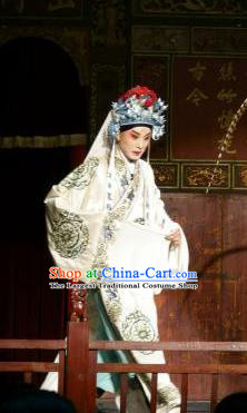 Chinese Classical Kun Opera Young Male Apparels Princess Baihua Peking Opera Garment Xiao Sheng Costumes and Headwear